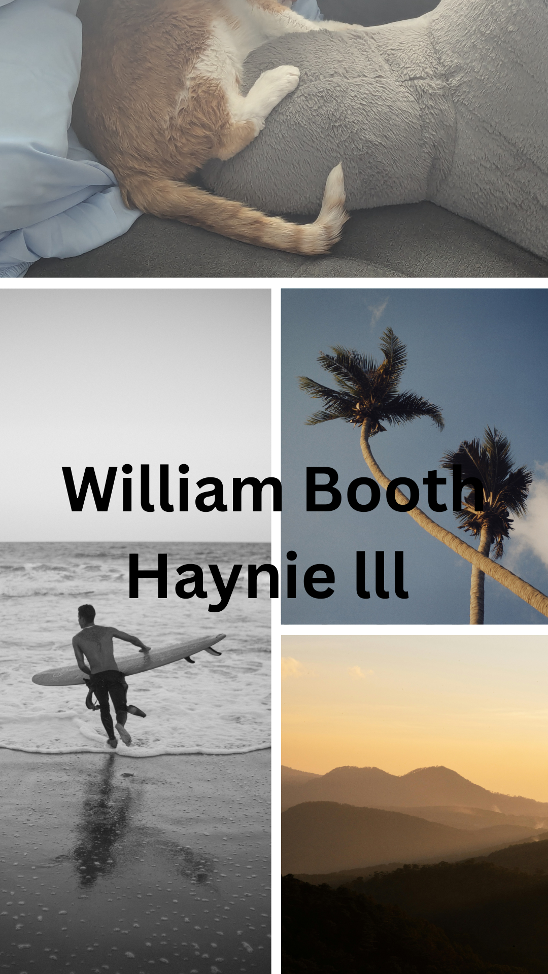 WILLIAM HAYNIE lll