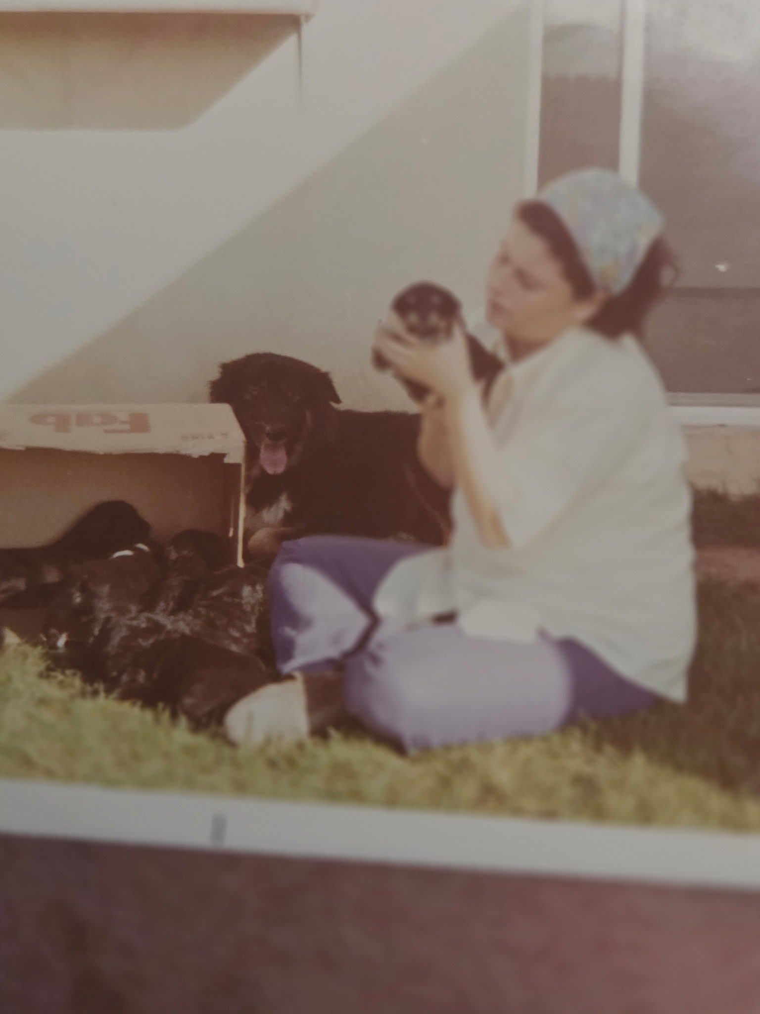 Photo of Mitzi Kempt