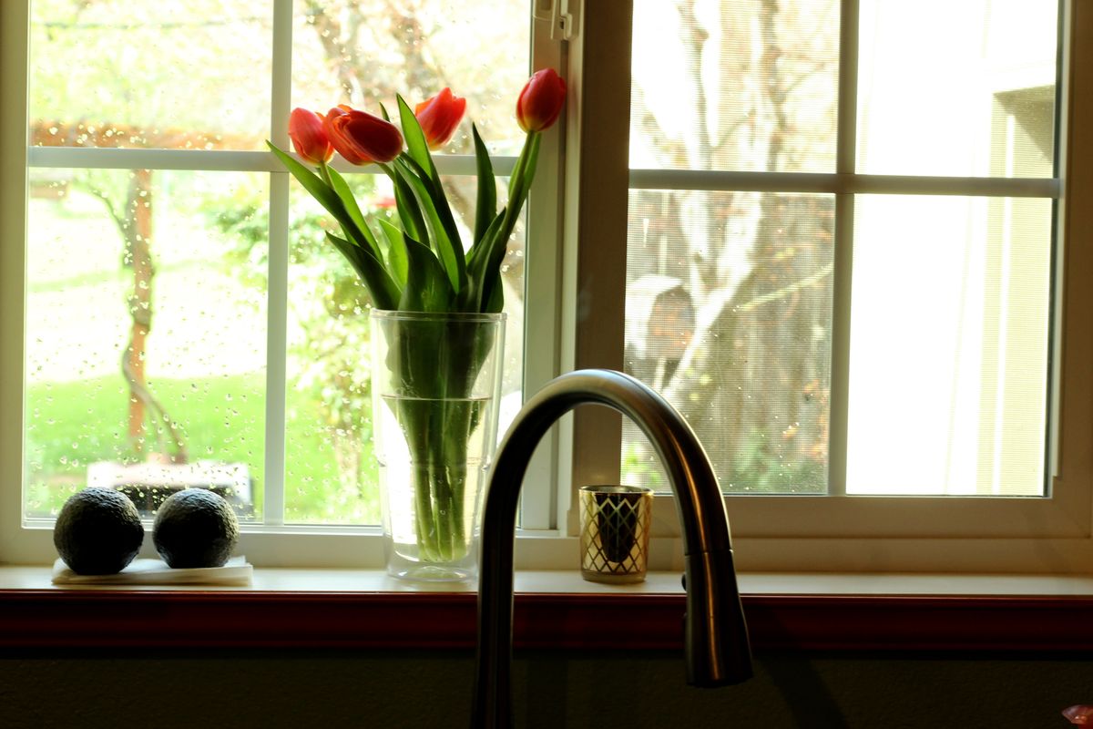 The kitchen window — always something blooming.